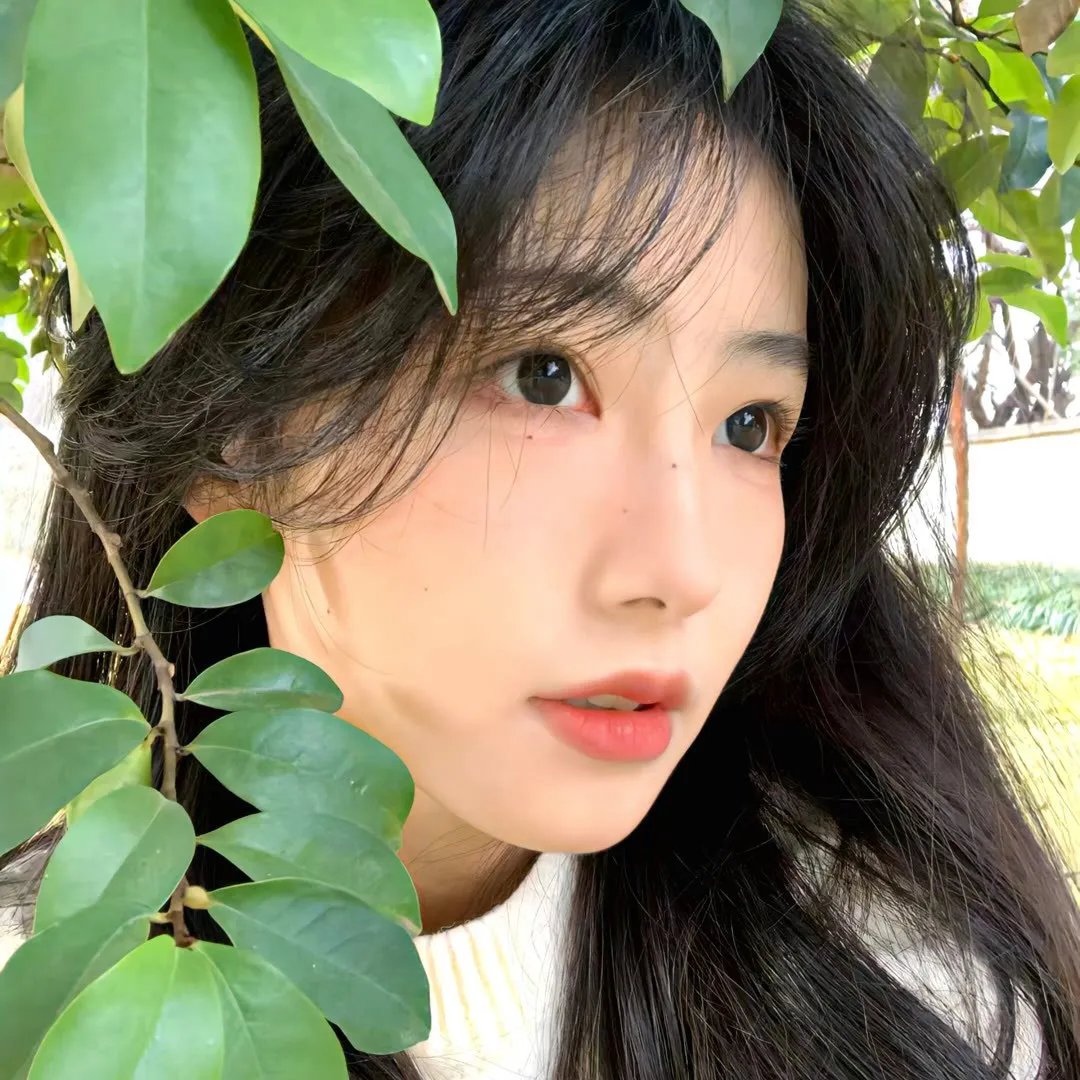 战地女护士